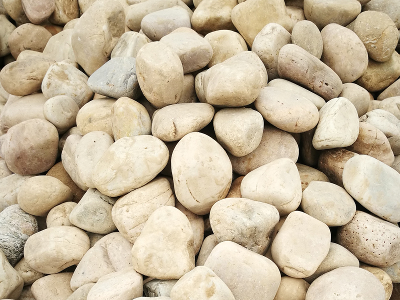 變壓器專用午夜天堂精品久久久久